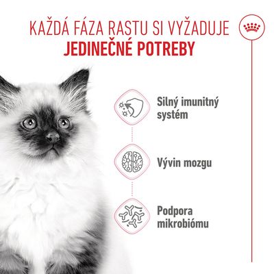 Royal Canin Kitten