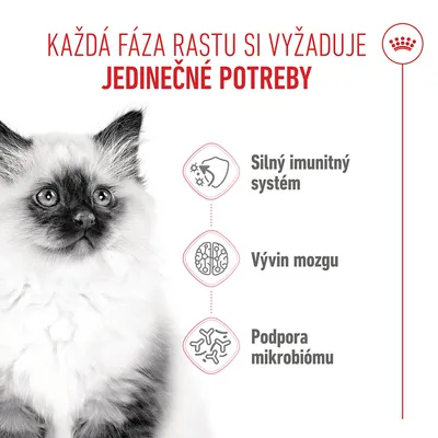 Royal Canin Kitten - 2 kg