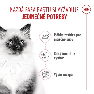 Royal Canin Kitten v omáčke - 12 x 85 g