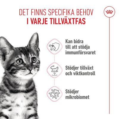 Royal Canin Kitten Sterilised