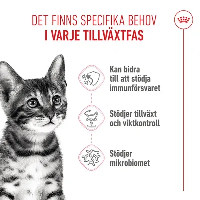 Royal Canin Kitten Sterilised - 3,5 kg