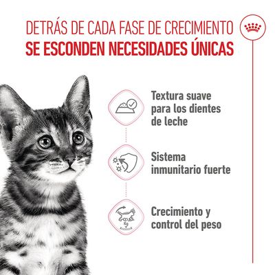 Royal Canin Sterilised Kitten en salsa - 12 x 85 g