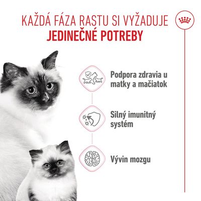 Royal Canin Mother & Babycat