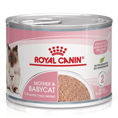 Royal Canin Mother & Babycat Mousse ultra soffice
