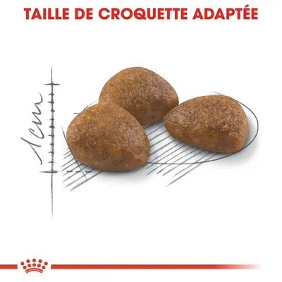 Taille de croquette adaptée, trois croquettes triangulaires montrées sur un schéma avec échelle indiquant 1 cm.