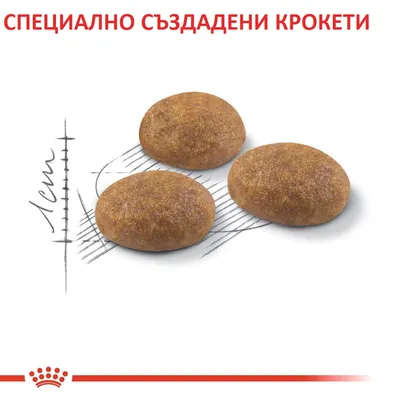 Три кръгли крокети върху скица, текст отгоре: СПЕЦИАЛНО СЪЗДАДЕНИ КРОКЕТИ. Видими са само крокетите и част от графика.