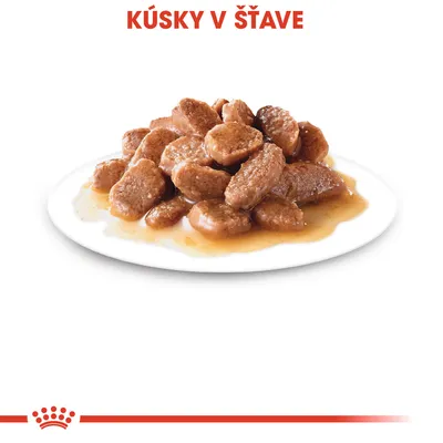 Kúsky v šťave na bielom tanieri, viditeľný nápis hore: KÚSKY V ŠŤAVE. Produkt zobrazuje mokré krmivo vo forme kúskov v omáčke.