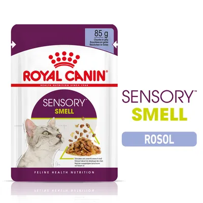 ROYAL CANIN SENSORY SMELL, 85 g, rosol. Na obalu je kočka a kousky krmiva v rosolu. Text: Feline Health Nutrition, Chunks in jelly.