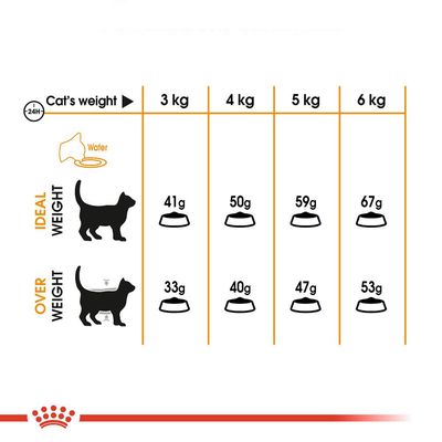 Fodringsvejledning for katte: ved idealvægt 3–6 kg gives 41–67 g dagligt, ved overvægt 33–53 g. Viser skema med vægt og anbefalet mængde foder pr. dag.