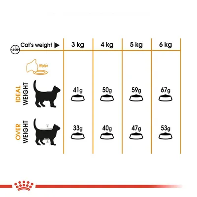 Fodringsvejledning for katte: ved idealvægt 3–6 kg gives 41–67 g dagligt, ved overvægt 33–53 g. Viser skema med vægt og anbefalet mængde foder pr. dag.