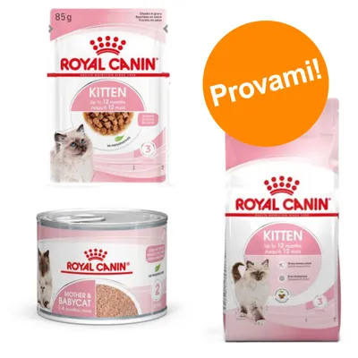 Royal Canin Kitten fino a 12 mesi: bustina 85 g, lattina Mother & Babycat 1–4 mesi, sacco crocchette. Etichetta arancione con testo 'Provami!'.