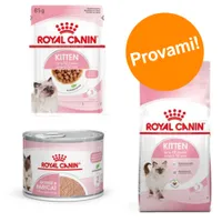 Set prova misto! Royal Canin Kitten secco + umido - 400 g crocchette Kitten + 12 x 85 g umido Kitten Mousse