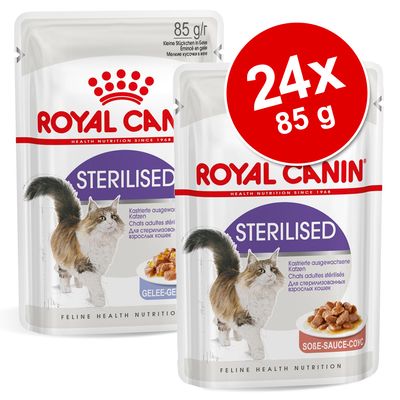 Royal Canin -säästöpakkaus 24 x 85 g: Jelly + Gravy Light in Gravy + Light in Jelly