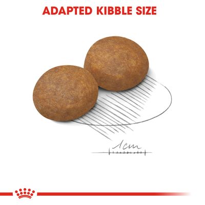 Две круглые гранулы корма, диаметр около 1 см. Надпись на английском: ADAPTED KIBBLE SIZE.