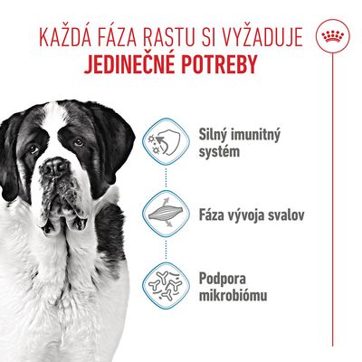 Royal Canin Giant Junior