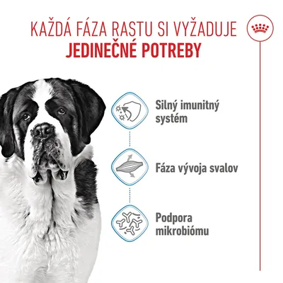 Royal Canin Giant Junior - 15 kg