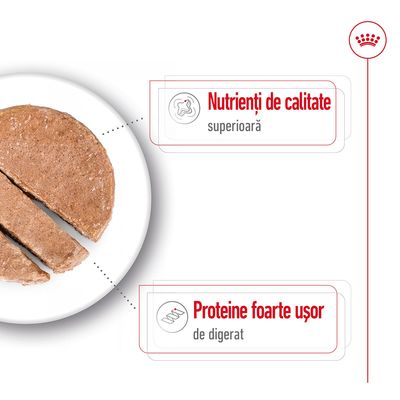Hrană umedă pe farfurie, cu text: 'Nutrienți de calitate superioară' și 'Proteine foarte ușor de digerat'. Simboluri asociate fiecărui beneficiu. Brandul nu este menționat vizibil.