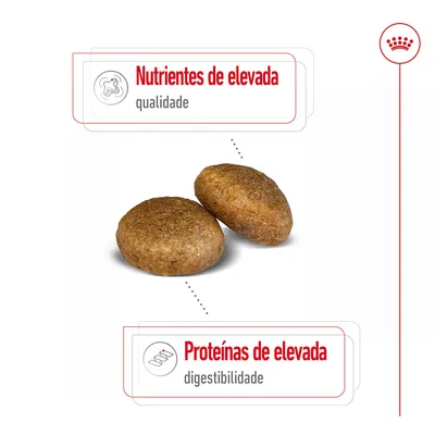 Royal Canin Maxi Adult - 15 kg