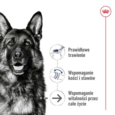 Prawidłowe trawienie, wspomaganie kości i stawów, wspomaganie witalności przez całe życie – trzy wypunktowane zalety obok sylwetki psa. Marka Royal Canin widoczna w rogu.