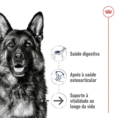 Saúde digestiva, apoio à saúde osteoarticular e suporte à vitalidade ao longo da vida. Texto acompanhado de ilustrações relacionadas a cada benefício.