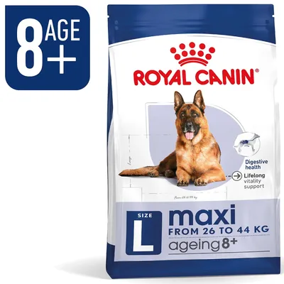 Royal Canin maxi L ageing 8+, torrfoder för hund, från 26 till 44 kg. Text: Digestive health, Lifelong vitality support, AGE 8+.