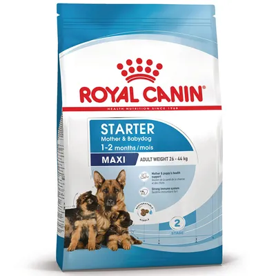 Royal Canin Maxi Starter Mother & Babydog Crocchette per cane