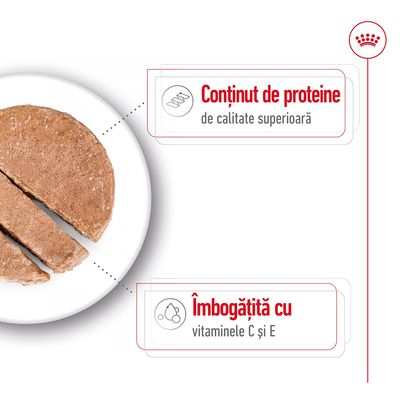 Conținut de proteine de calitate superioară. Îmbogățită cu vitaminele C și E.