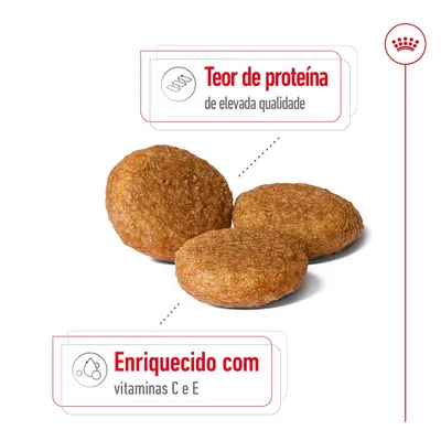 Três croquetes de ração com texto: 'Teor de proteína de elevada qualidade' e 'Enriquecido com vitaminas C e E'.