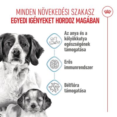 Royal Canin Medium Starter Mother & Babydog