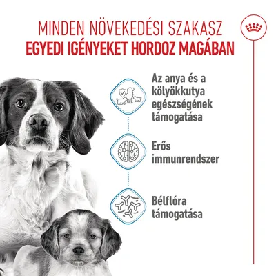 Royal Canin Medium Starter Mother & Babydog - 15 kg