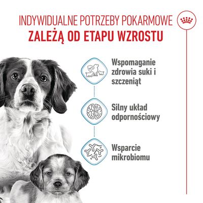 Royal Canin Medium Starter Mother & Babydog