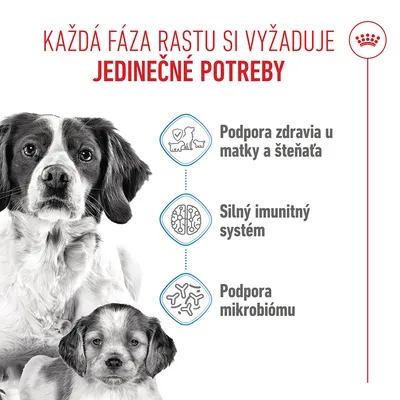 Royal Canin Medium Starter Mother & Babydog - 4 kg
