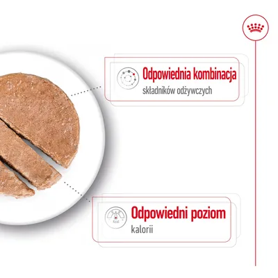 Odpowiednia kombinacja składników odżywczych, odpowiedni poziom kalorii – tekst na grafice obok porcji karmy mokrej na białym talerzu.