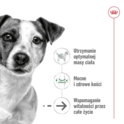 Utrzymanie optymalnej masy ciała, mocne i zdrowe kości, wspomaganie witalności przez całe życie – trzy kluczowe korzyści przedstawione obok sylwetki psa.