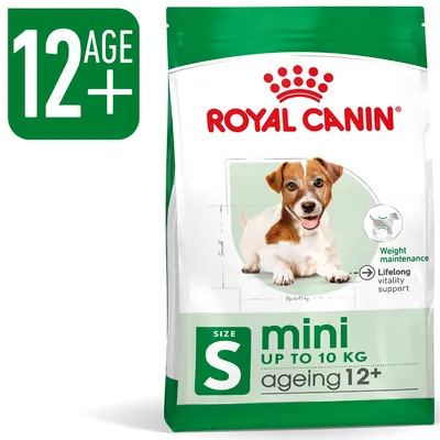 Royal Canin mini ageing 12+, torrfoder för små hundar upp till 10 kg, viktunderhåll och livslång vitalitetsstöd. Storlek S. Synlig text: 12 AGE+, Weight maintenance, Lifelong vitality support.