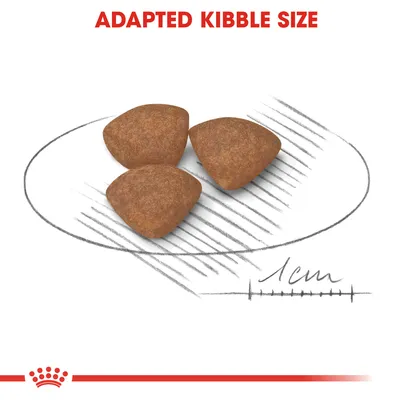 Kolme kolmiomaista nappulaa, joiden koko noin 1 cm. Yläreunassa teksti: ADAPTED KIBBLE SIZE.