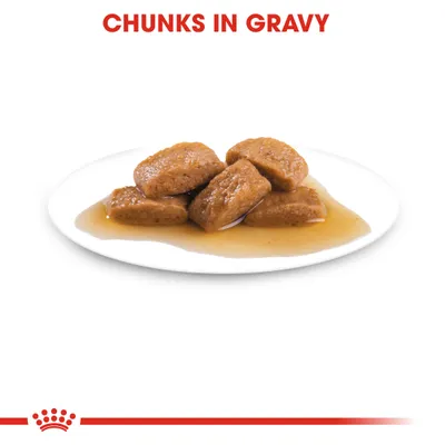 Royal Canin Maxi Ageing σε Σάλτσα - Πακέτο Προσφοράς: 40 x 140 g