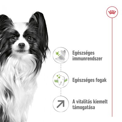 Egészséges immunrendszer, egészséges fogak, a vitalitás kiemelt támogatása – szöveg és ikonok fekete-fehér kutya mellett, Royal Canin logóval.