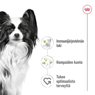 Immuunijärjestelmän tuki, hampaiden kunto, tukee optimaalista terveyttä – kolme ominaisuutta esitettynä koiran kuvan vieressä. Royal Canin -brändimerkki ylhäällä.