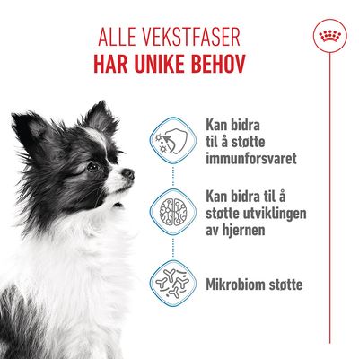 Royal Canin X-Small Puppy