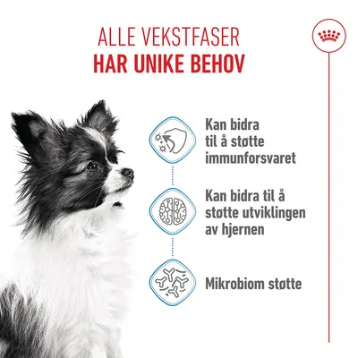 Royal Canin X-Small Puppy