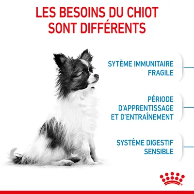 Texte : Les besoins du chiot sont différents. Système immunitaire fragile, période d’apprentissage et d’entraînement, système digestif sensible. Marque Royal Canin visible.