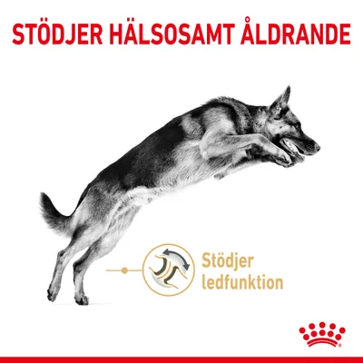 Text: Stödjer hälsosamt åldrande. Bild på hoppande hund och ikon med texten Stödjer ledfunktion. Royal Canin krona synlig längst ner.