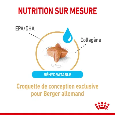 Croquette réhydratable, conception exclusive pour Berger allemand, avec EPA/DHA et collagène visibles. Texte : Nutrition sur mesure. Marque non précisée.
