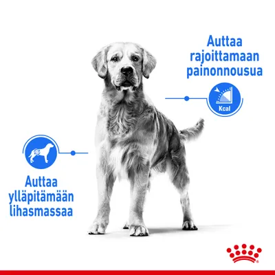 Koiran kuva, tekstit: 'Auttaa ylläpitämään lihasmassaa' ja 'Auttaa rajoittamaan painonnousua', Royal Canin -logo alareunassa.