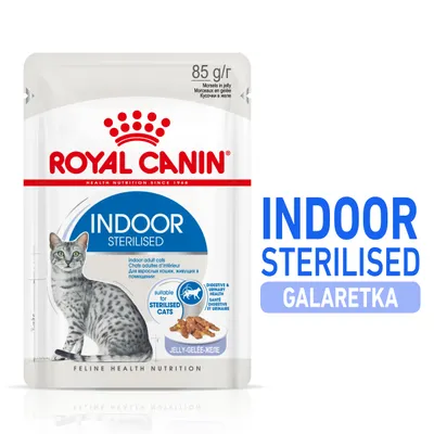 ROYAL CANIN INDOOR STERILISED galaretka, 85 g. Karma dla dorosłych kotów żyjących w pomieszczeniach, odpowiednia dla kotów sterylizowanych. Widoczny obraz kota i kawałki karmy w galaretce.