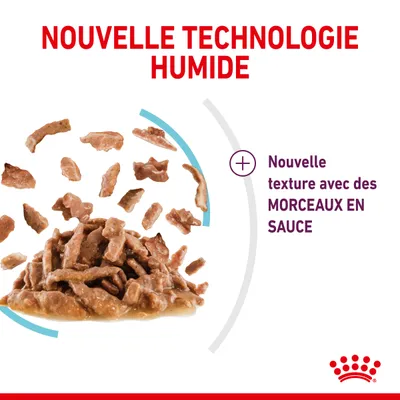 Nouvelle technologie humide, nouvelle texture avec des morceaux en sauce. Morceaux de nourriture humide présentés sur fond blanc. Texte en français visible dans l’image.