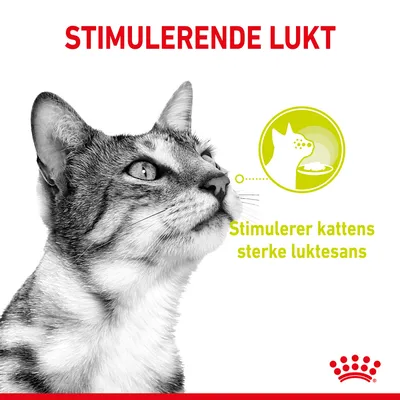 Royal Canin Sensory Smell i saus