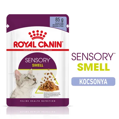 ROYAL CANIN SENSORY SMELL macskaeledel, 85 g, kocsonya. Csomagoláson macska és eledel képe látható. Felirat: SENSORY SMELL, KOCSONYA.