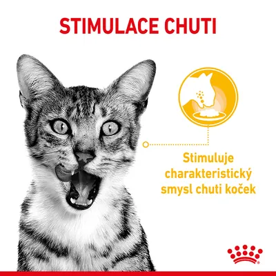 Stimuluje charakteristický smysl chuti koček. Text: STIMULACE CHUTI. Obrázek kočky a ikona s miskou.